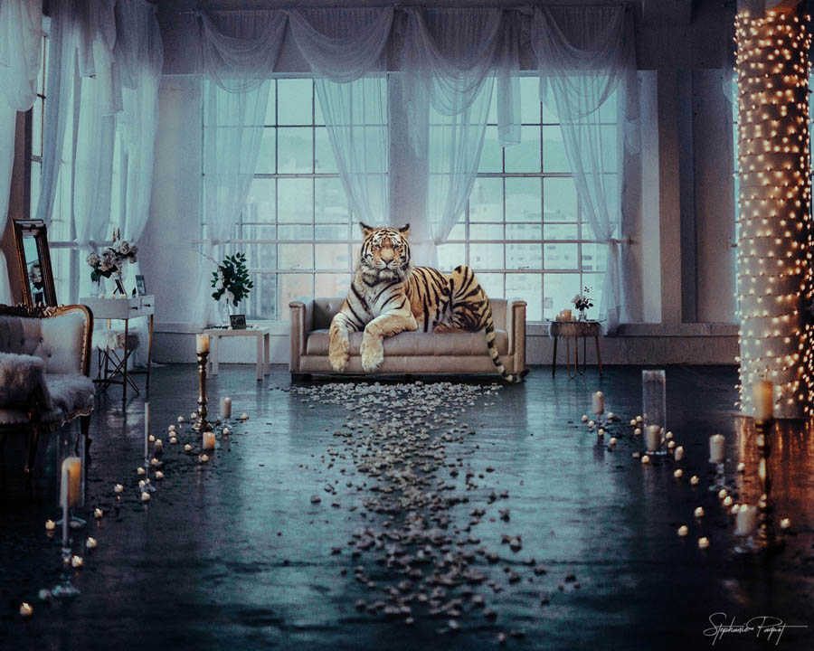 ��Ů�O(sh��)Ӌ����(chu��ng)��ďV����Ʒ�O(sh��)Ӌ���p