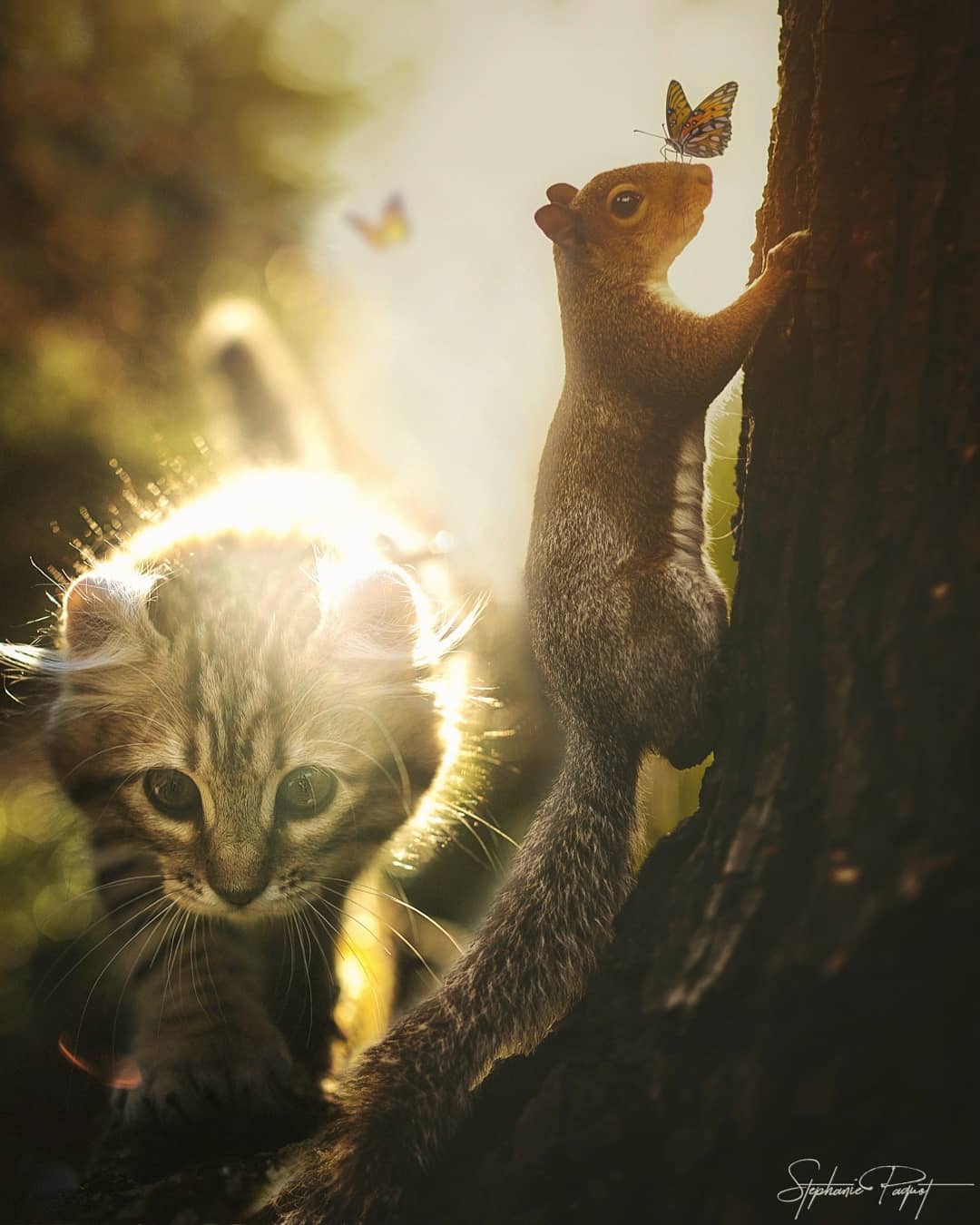 ��Ů�OӋ����(chu��ng)��ďV����Ʒ�OӋ���p