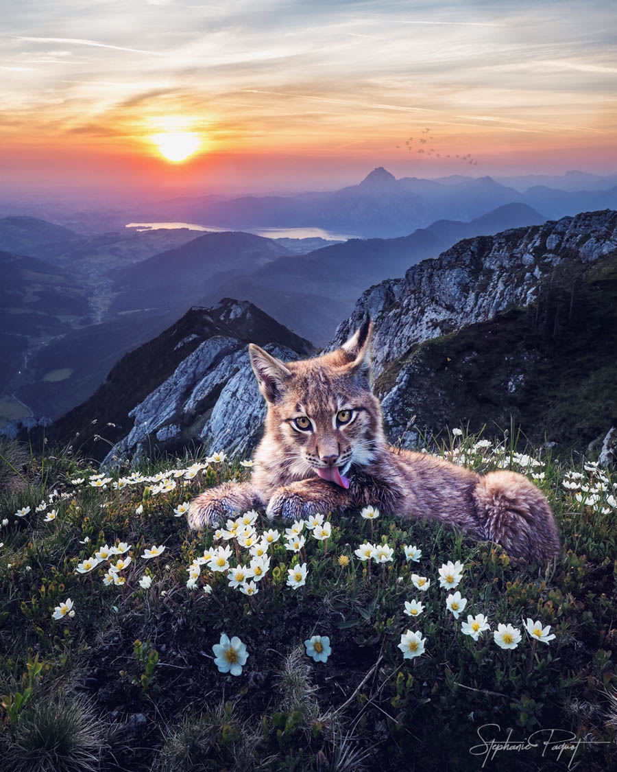 ��Ů�O(sh��)Ӌ(j��)����(chu��ng)��ďV����Ʒ�O(sh��)Ӌ(j��)���p