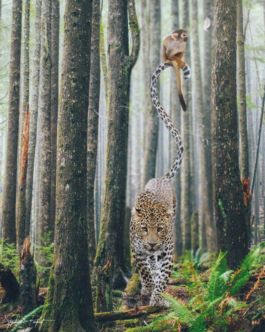 ��Ů�O(sh��)Ӌ(j��)����(chu��ng)��ďV����Ʒ�O(sh��)Ӌ(j��)���p