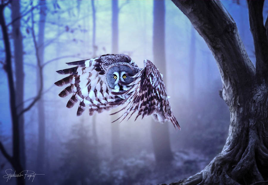 ��Ů�OӋ������ďV����Ʒ�OӋ���p