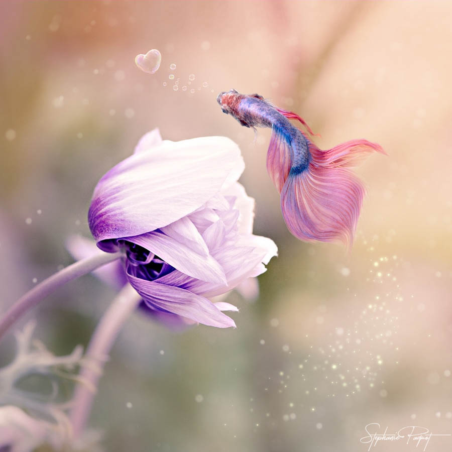 ��Ů�O(sh��)Ӌ(j��)����(chu��ng)��ďV����Ʒ�O(sh��)Ӌ(j��)���p