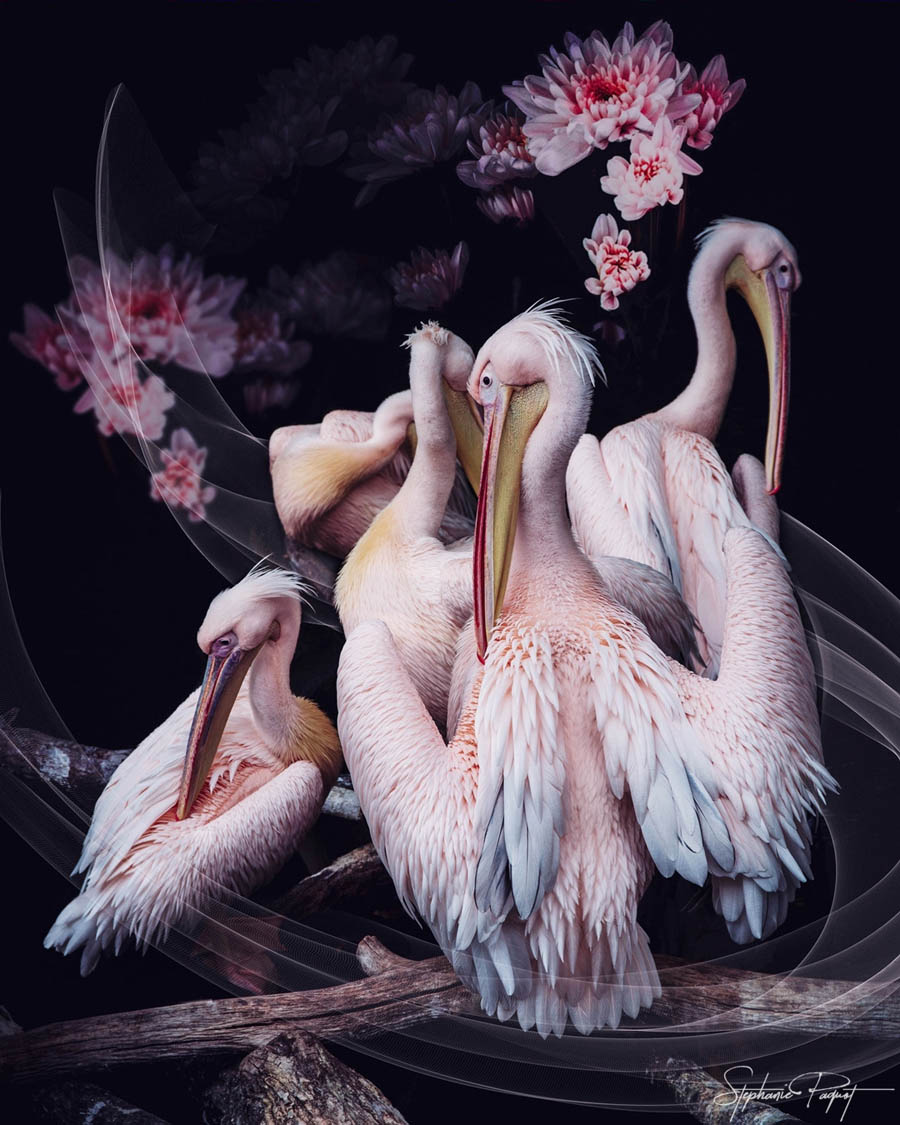 ��Ů�OӋ������ďV����Ʒ�OӋ���p