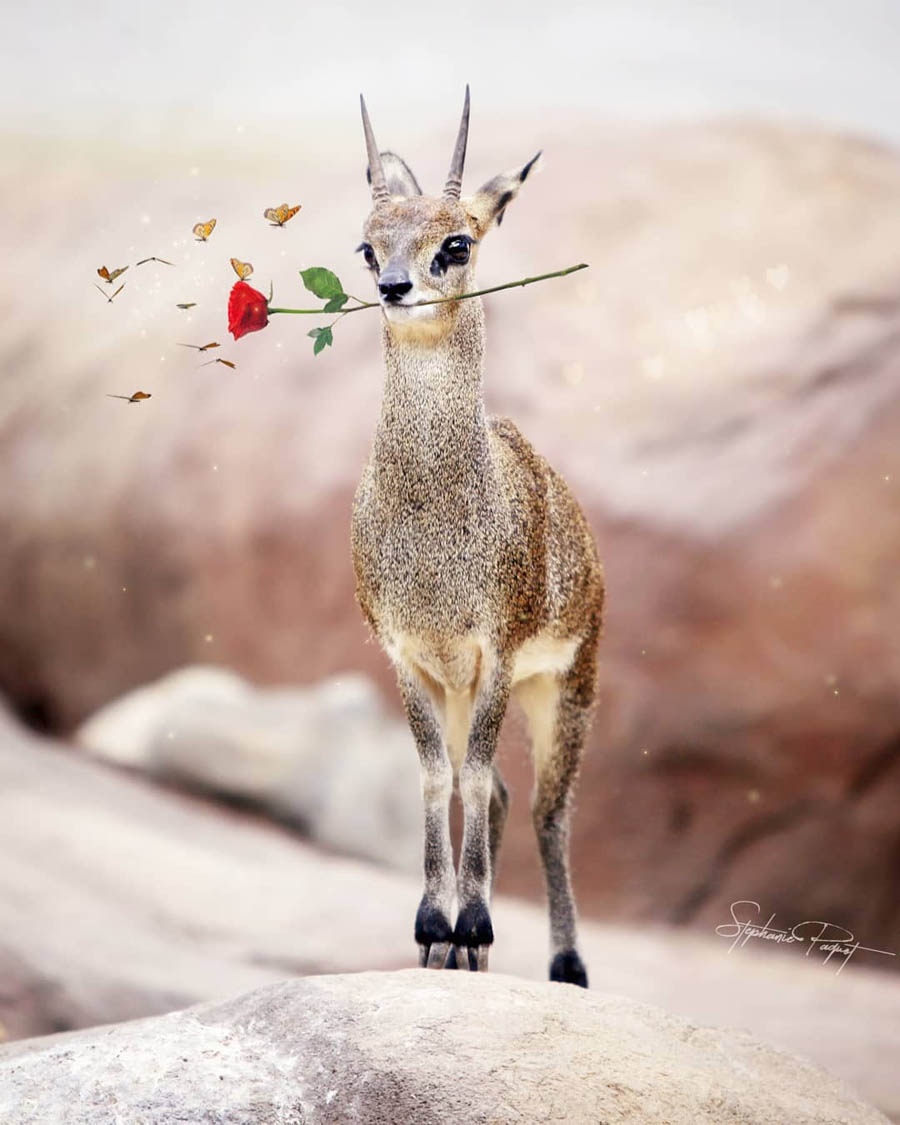 ��Ů�O(sh��)Ӌ(j��)����(chu��ng)��ďV����Ʒ�O(sh��)Ӌ(j��)���p