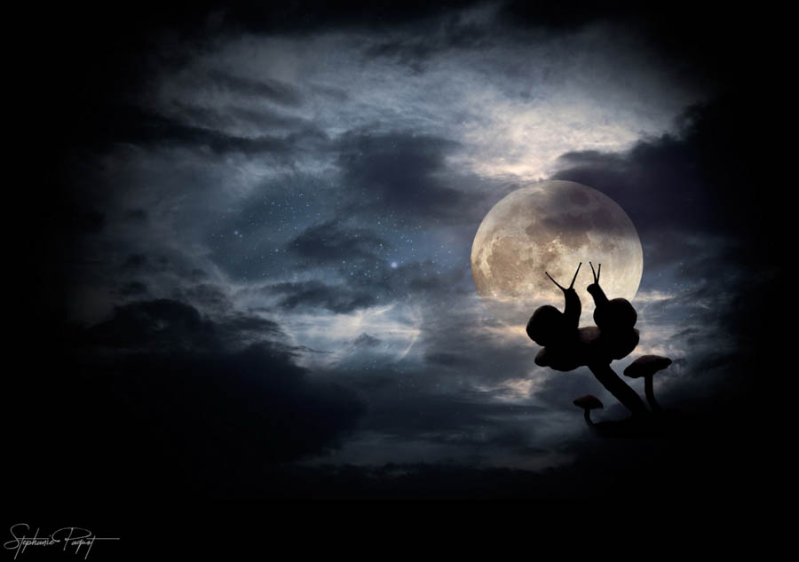 ��Ů�OӋ������ďV����Ʒ�OӋ���p