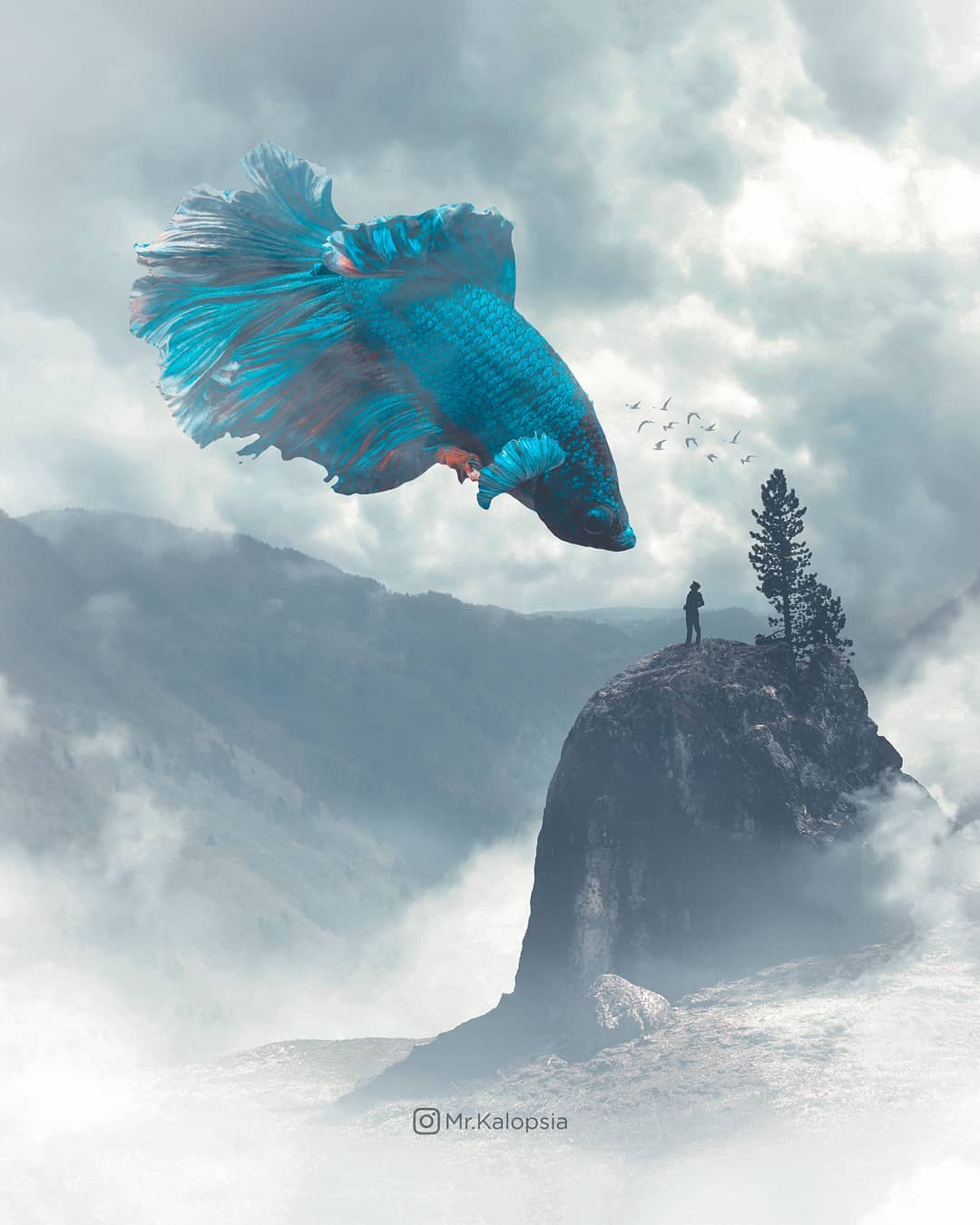 �X�����_�ĺ���PS�ϳ���Ʒ�OӋ���p