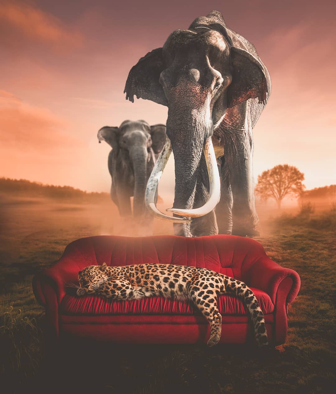 �X�����_�ĺ���PS�ϳ���Ʒ�OӋ���p