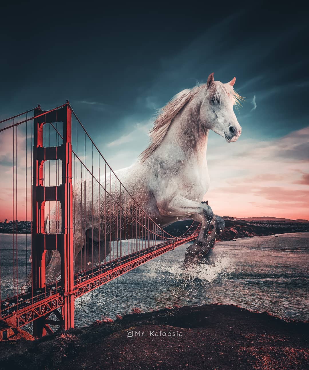 �X�����_�ĺ���PS�ϳ���Ʒ�OӋ���p