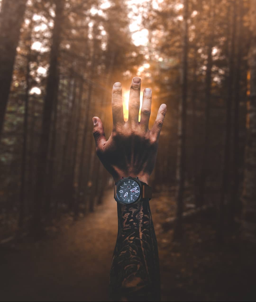 �X�����_�ĺ���PS�ϳ���Ʒ�OӋ���p