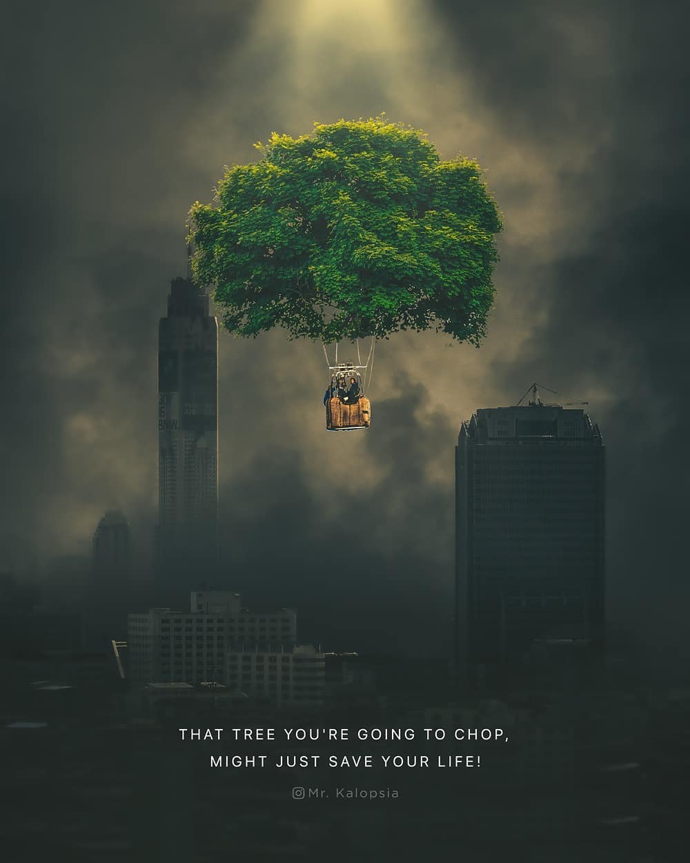 �X�����_�ĺ���PS�ϳ���Ʒ�OӋ���p