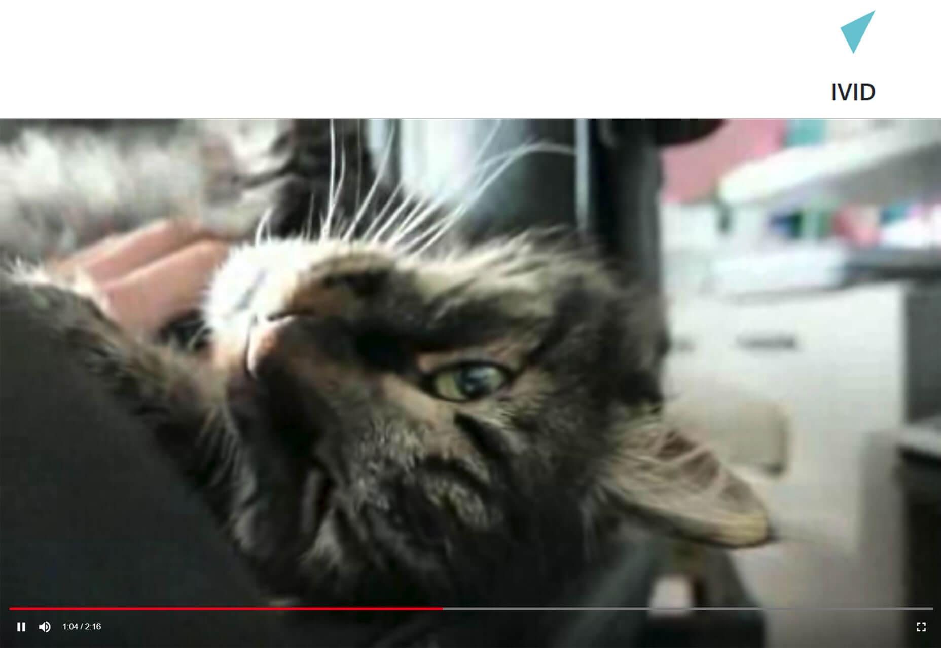 2019年3月超實用設計圈干貨合集