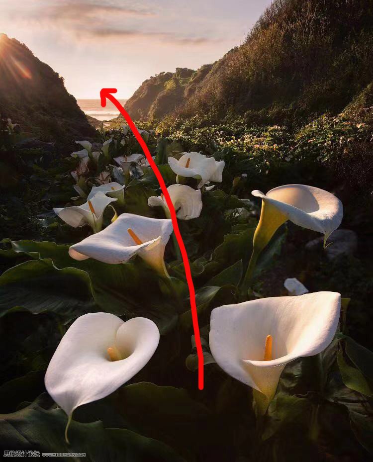 移日大法:用PS解決攝影后期作品中的光線