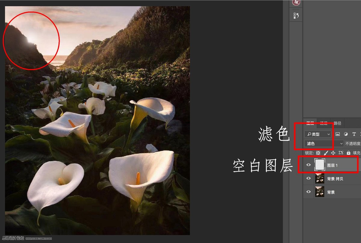 移日大法:用PS解決攝影后期作品中的光線