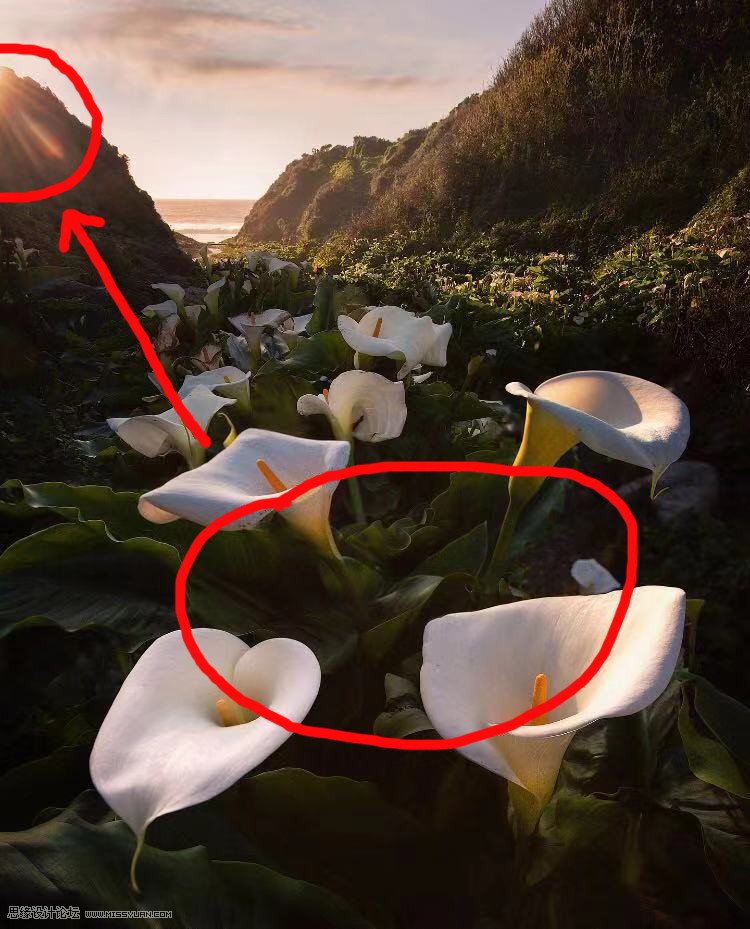 移日大法:用PS解決攝影后期作品中的光線