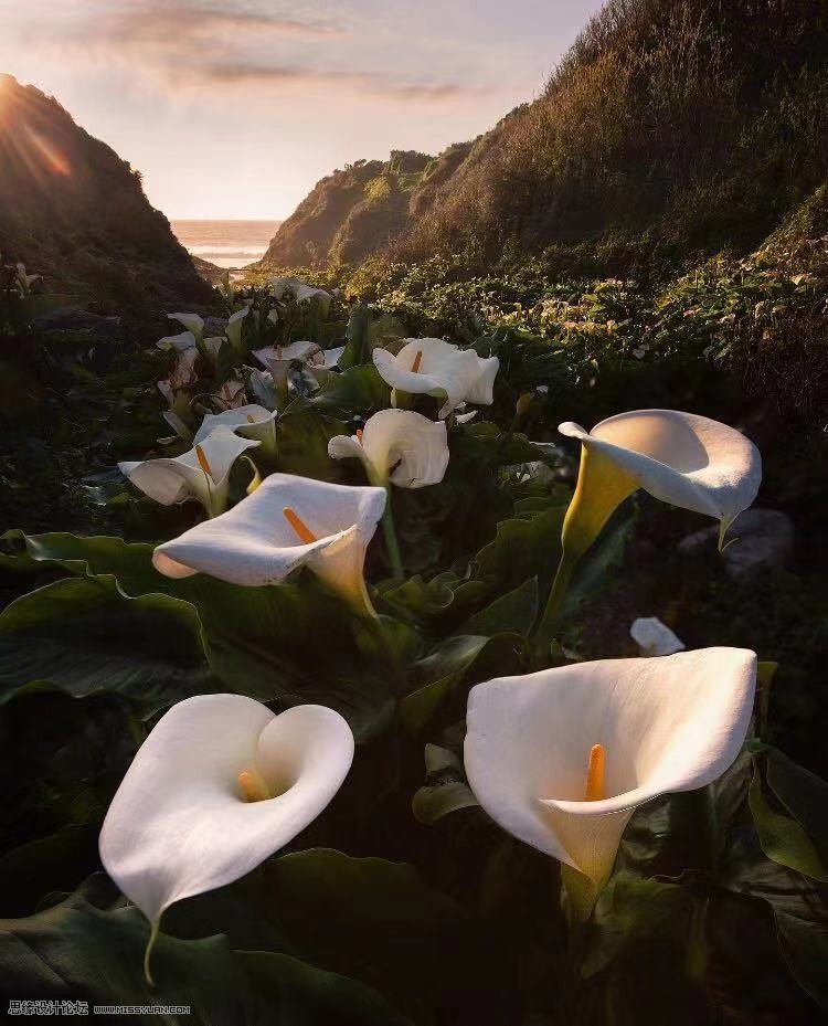 移日大法:用PS解決攝影后期作品中的光線