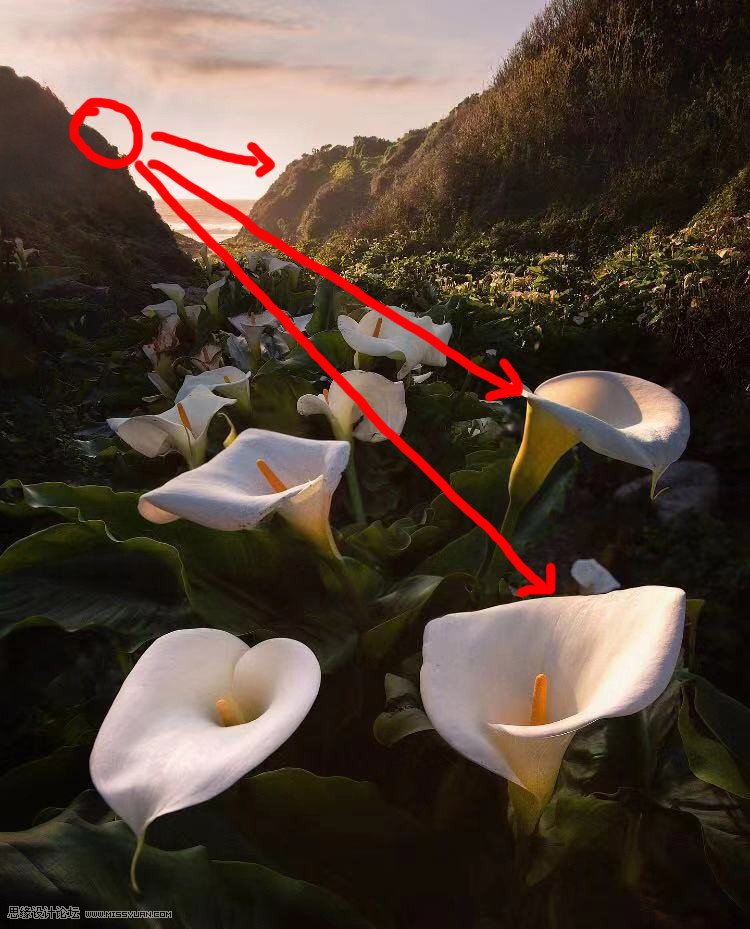 移日大法:用PS解決攝影后期作品中的光線