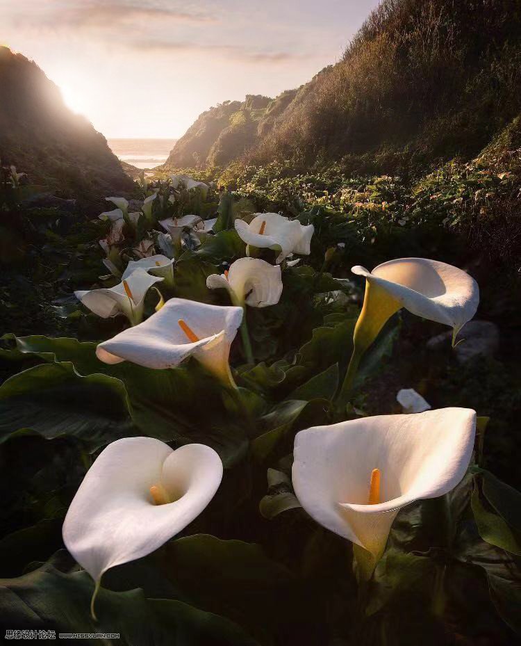 ���մ󷨣���PS��Q�zӰ������Ʒ�еĹ⾀