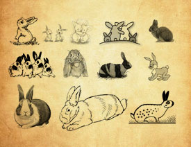 �ɐ�����PS�Pˢ