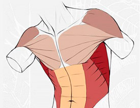 Ԕ���������w�|�ɼ��⮋��Ԕ��