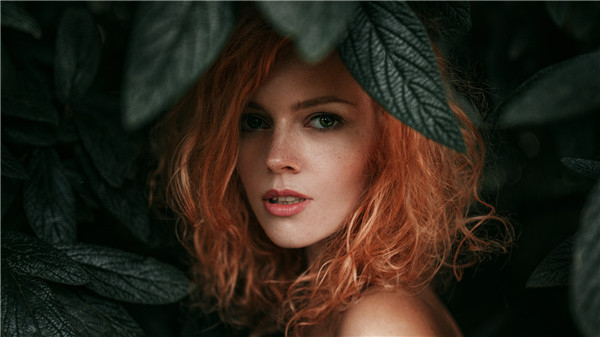 ���_˹Ī˹�����}�L(f��ng)�������ވD��Ʒ