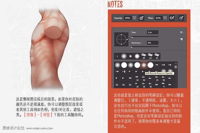 詳細解析人體軀干肌肉畫法詳解