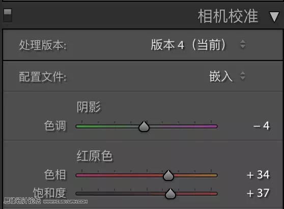 小清新效果:用PS調(diào)出小清新風格的人像