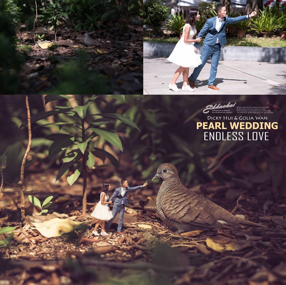 ���S�L���������ڔzӰ��Ʒ���p