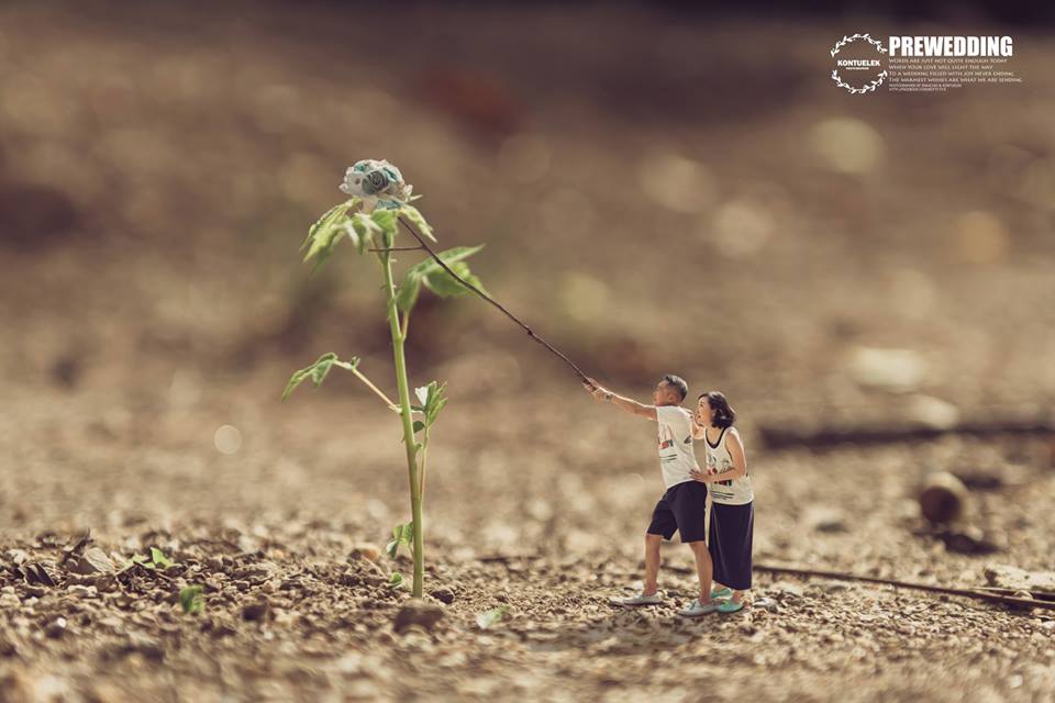 ���S�L���������ڔzӰ��Ʒ���p