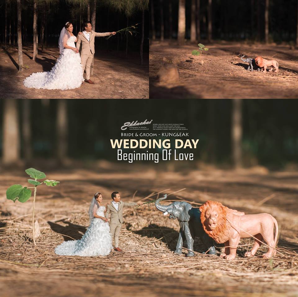 ���S�L���������ڔzӰ��Ʒ���p