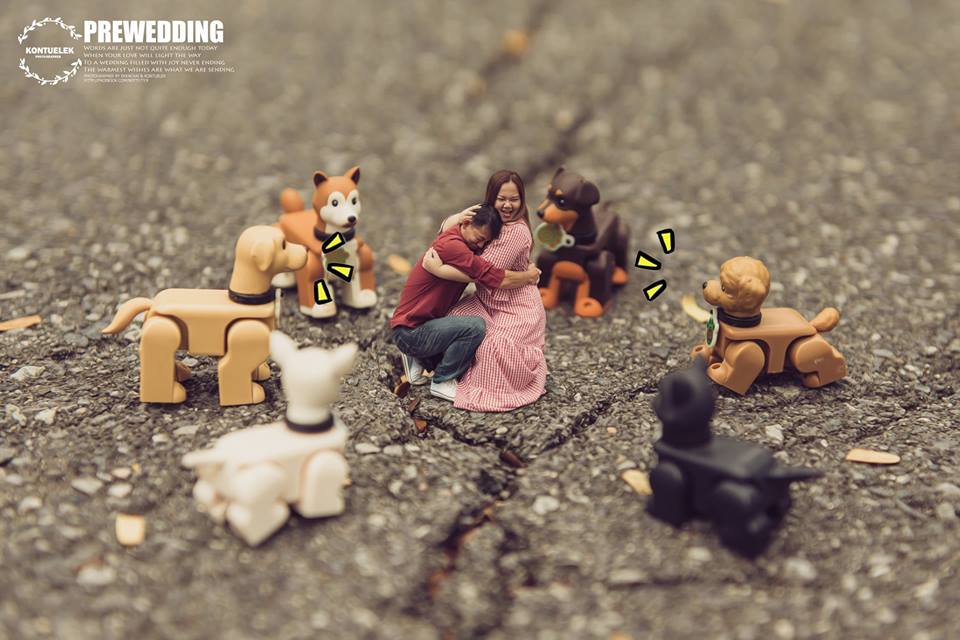 ���S�L���������ڔzӰ��Ʒ���p