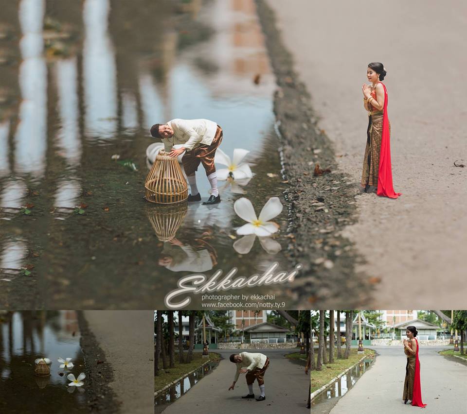 ���S�L(f��ng)���������ڔzӰ��Ʒ���p