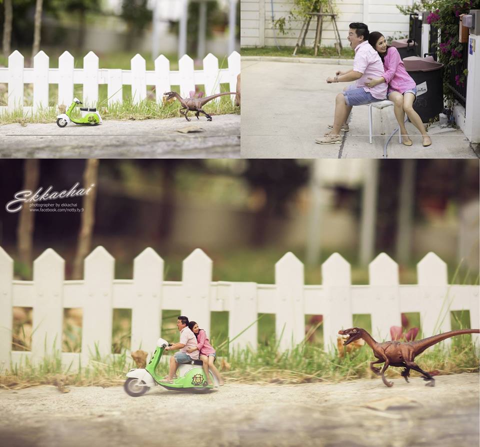 ���S�L���������ڔzӰ��Ʒ���p