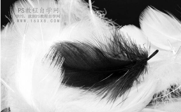 ������Ч����PS�{(di��o)������Ψ��������Ч��