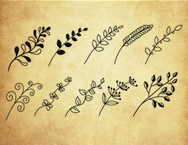 ����������PS�Pˢ