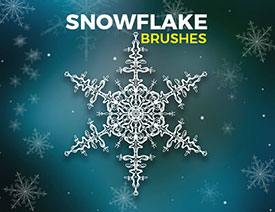 ������ѩ���Π�Pˢ