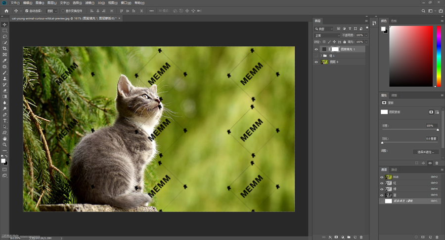 ˮӡ��������PS�o��Ƭ����ˮӡЧ��