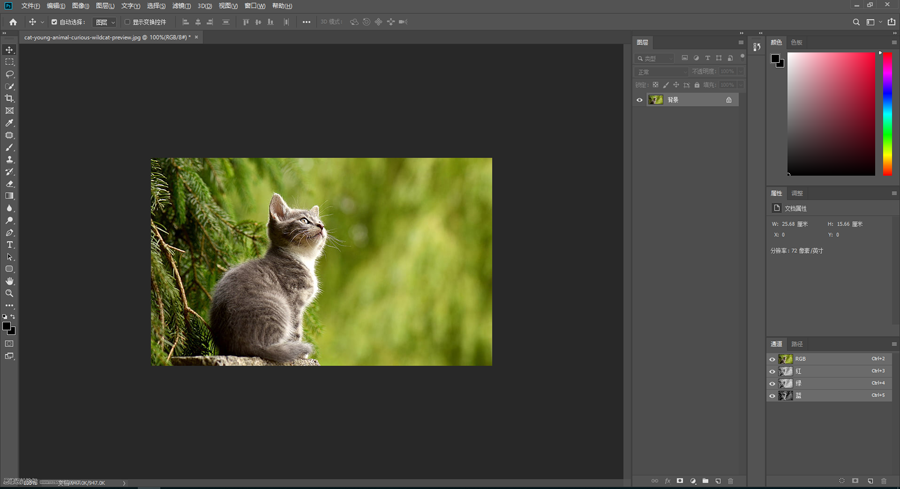 ˮӡ��������PS�o��Ƭ����ˮӡЧ��