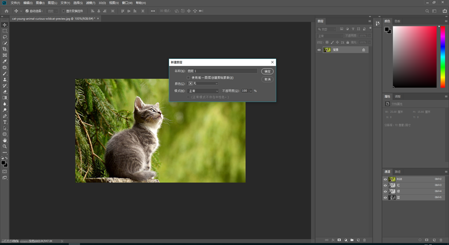 ˮӡ��������PS�o��Ƭ����ˮӡЧ��