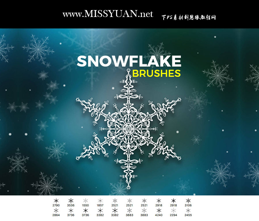 ������ѩ���Π�Pˢ