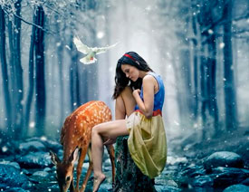 �OӋՈ�̣������PS�ϳɄ������Ʒ