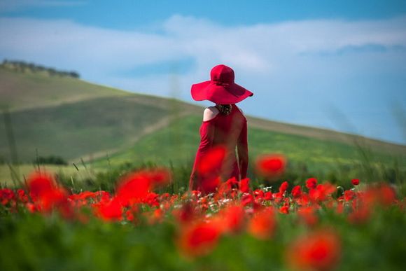 攝影初學者如何拍出好看的風景