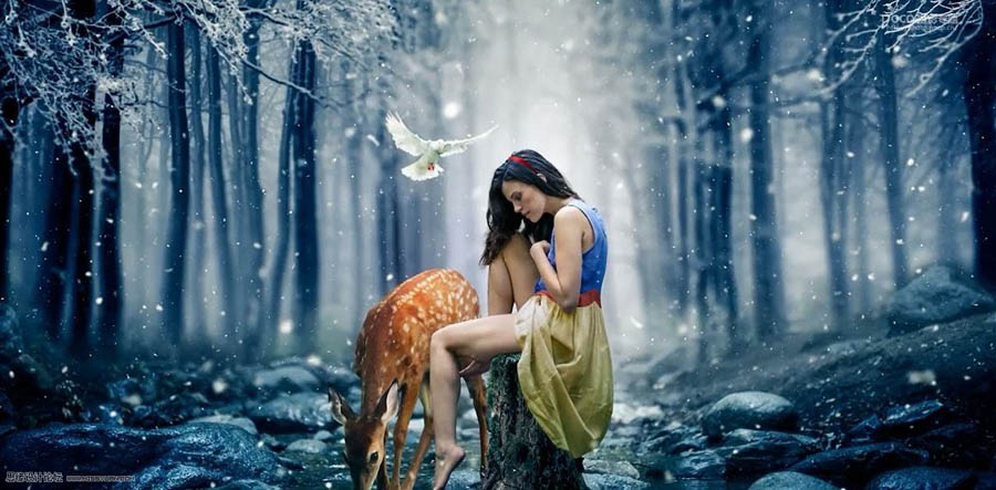 設計請教:如何用PS合成創意的作品