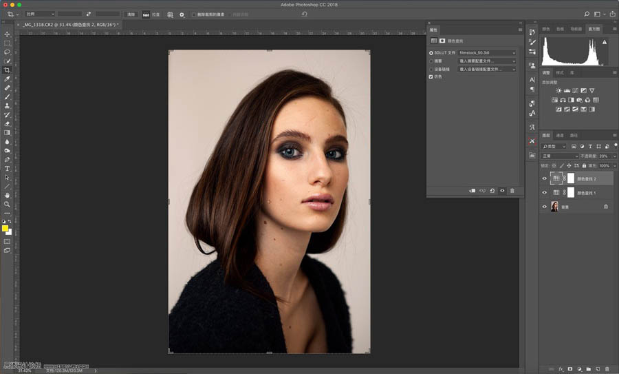 �����{ɫ����PS��LUT�����{����Ƭɫ�{