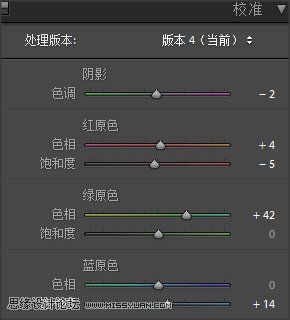 粉彩效果:用LR調(diào)出人像粉彩藝術(shù)效果