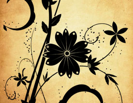 �r(sh��)��ֲ�ﻨ�y�b�PS�Pˢ