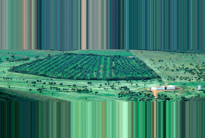 抽象作品:用PS設計電影節海報作品