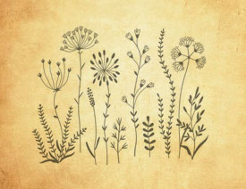 ��(ji��n)�s�r(sh��)�л����b�PS�Pˢ