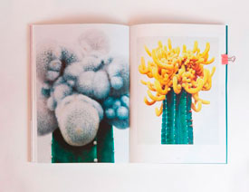 Herbaria�s־������Ű��OӋ���p