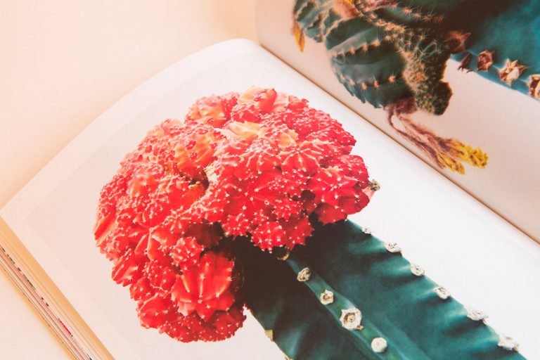 Herbaria�s־������Ű��OӋ���p