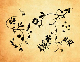 �ɐ۵�ֲ�ﻨ�y�b�PS�Pˢ